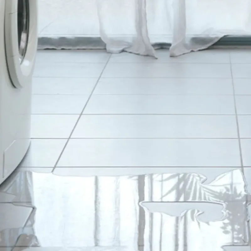 Appliance Leak Cleanup in Benjamin, TX