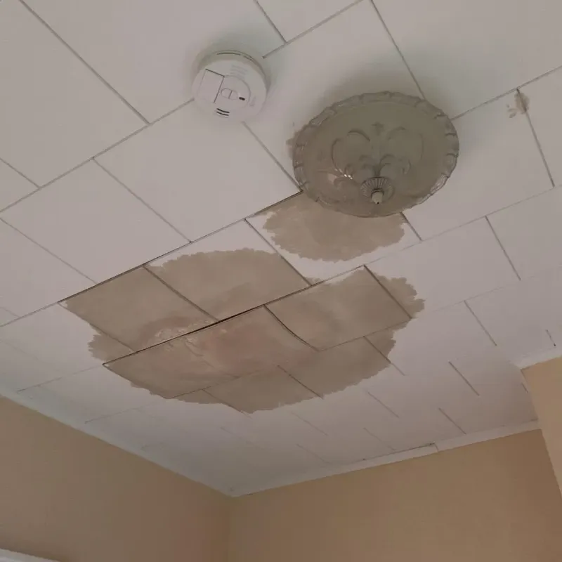 Ceiling Water Damage Repair in Benjamin, TX
