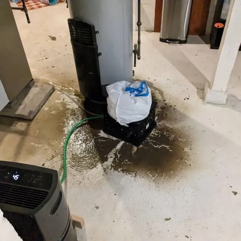 Sewage Backup Cleanup Service in Benjamin, TX